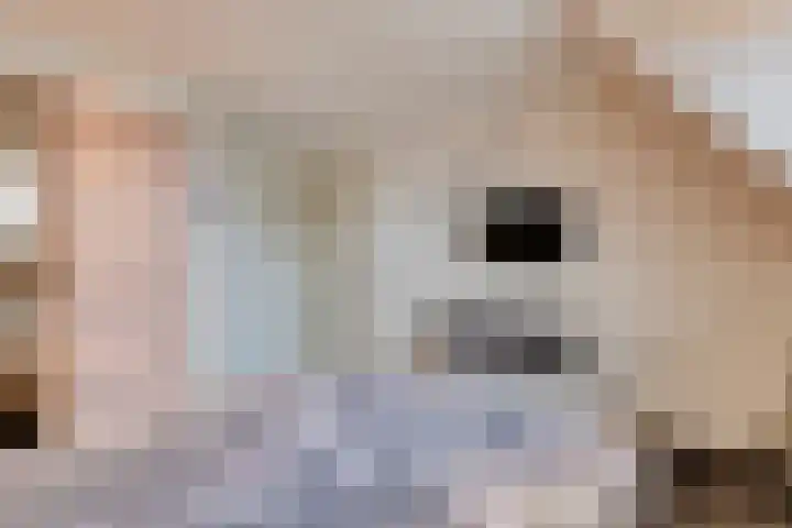 Nusseleinstraat 7 America thumbnail 20