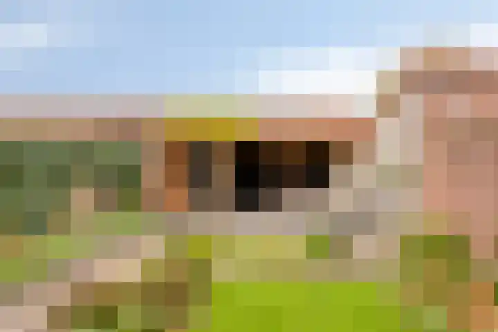 Nusseleinstraat 7 America thumbnail 28