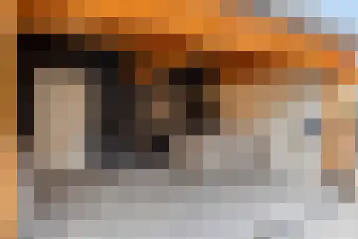 Nusseleinstraat 7 America thumbnail 29