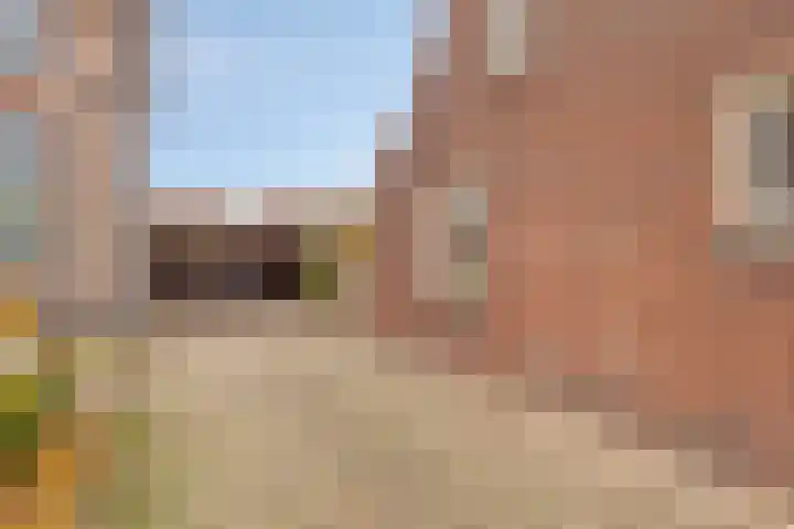 Nusseleinstraat 7 America thumbnail 33