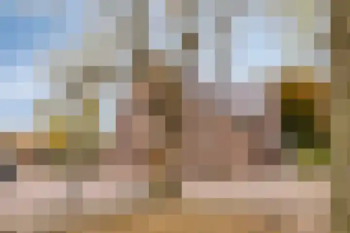 Nusseleinstraat 7 America thumbnail 35