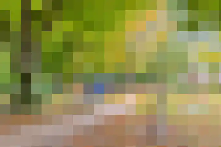 Nusseleinstraat 7 America thumbnail 38