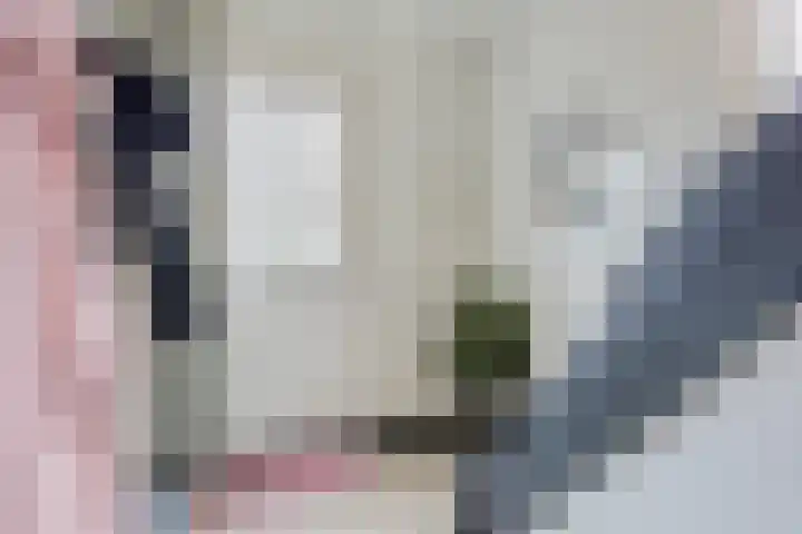 Nusseleinstraat 7 America thumbnail 4