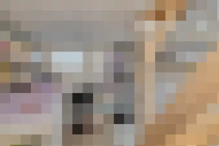 Nusseleinstraat 7 America thumbnail 6