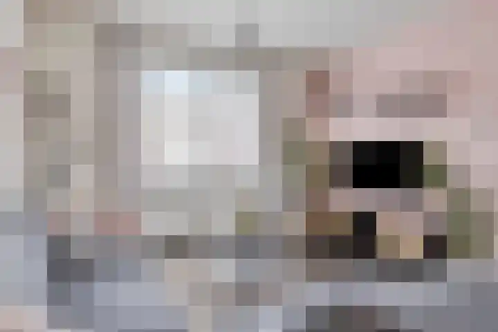 Nusseleinstraat 7 America thumbnail 9
