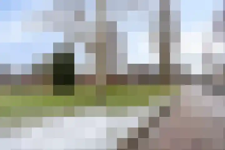 Nutsstraat 11 Hoogezand thumbnail 61