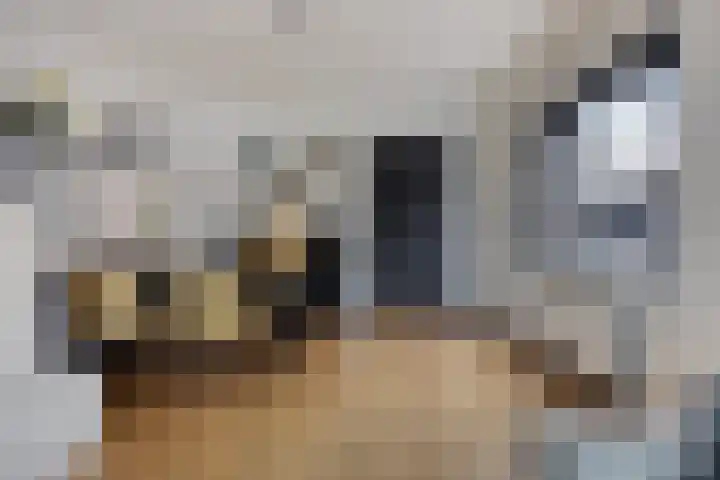 Nutsstraat 11 Hoogezand thumbnail 7