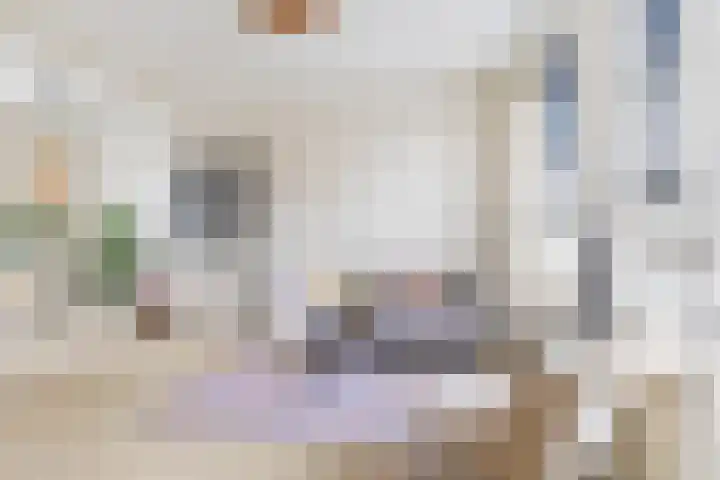 Nutstraat 11 Harlingen foto 2