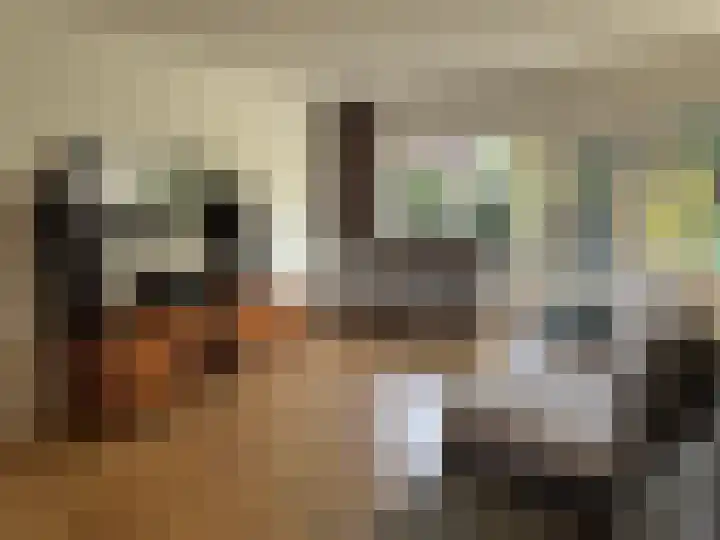 Nutstraat 12 Harlingen thumbnail 5