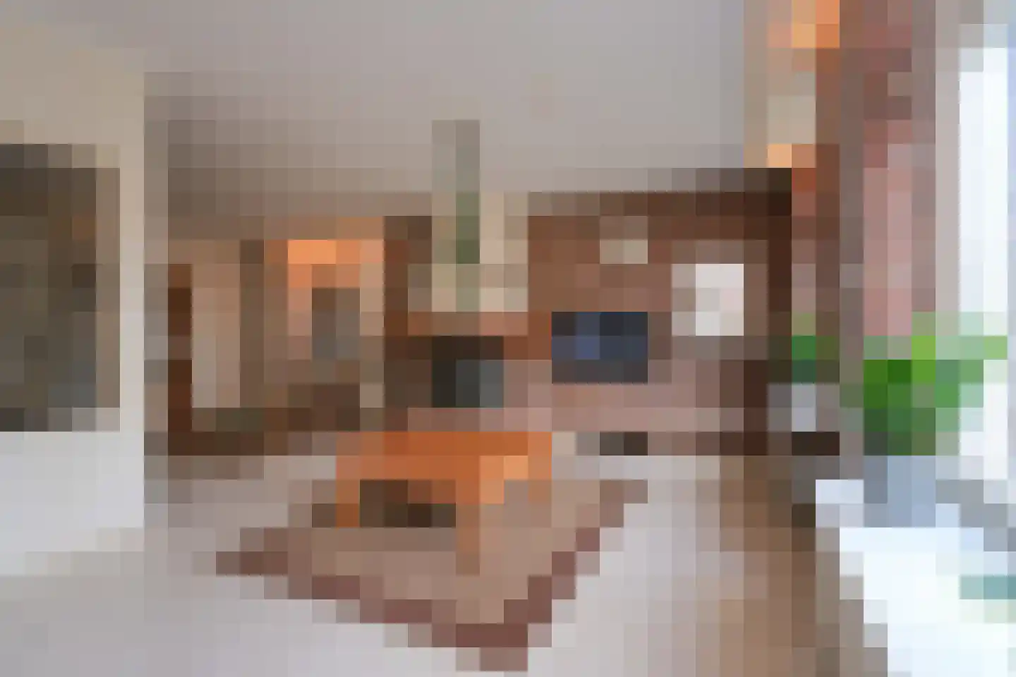 Nutterseweg 14 Nutter thumbnail 13