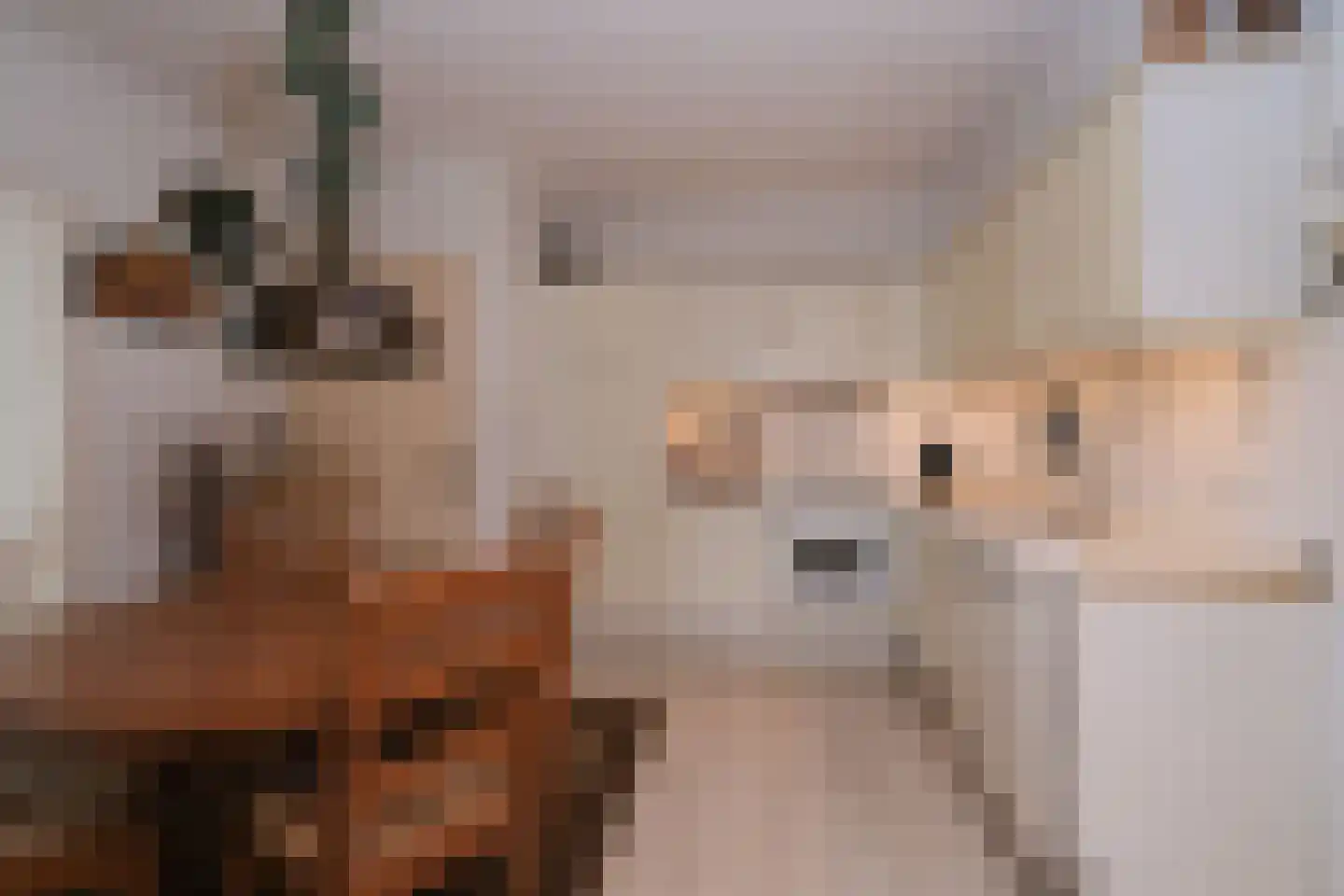Nutterseweg 14 Nutter thumbnail 15