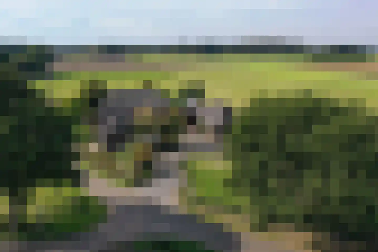 Nutterseweg 14 Nutter thumbnail 33