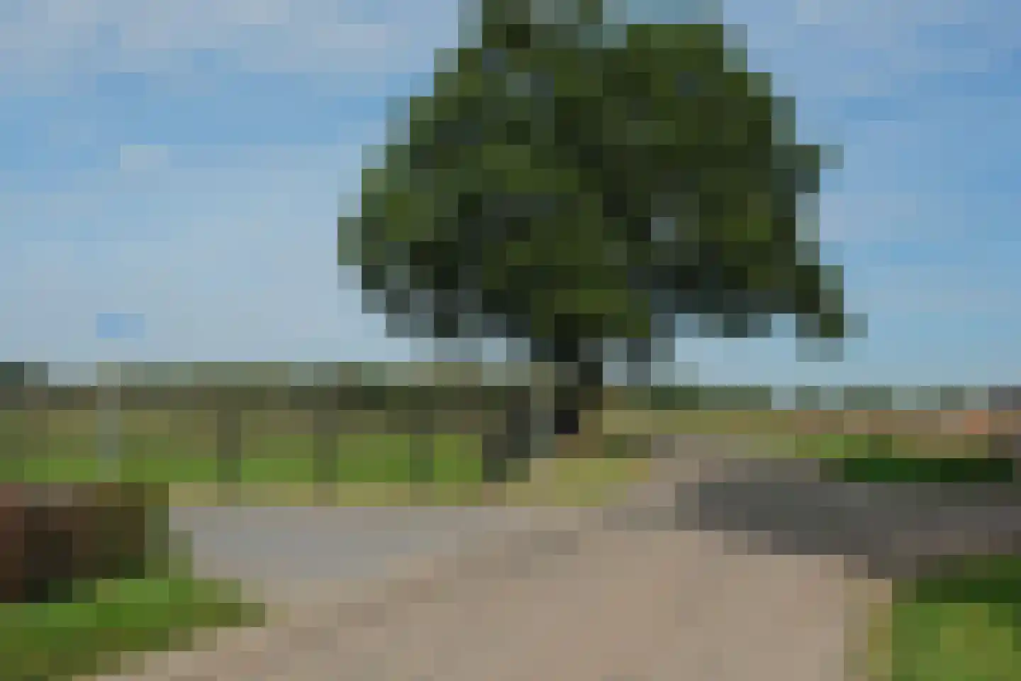 Nutterseweg 14 Nutter thumbnail 35