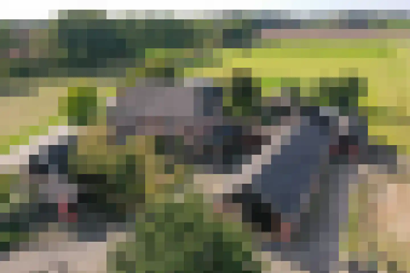Nutterseweg 14 Nutter thumbnail 4