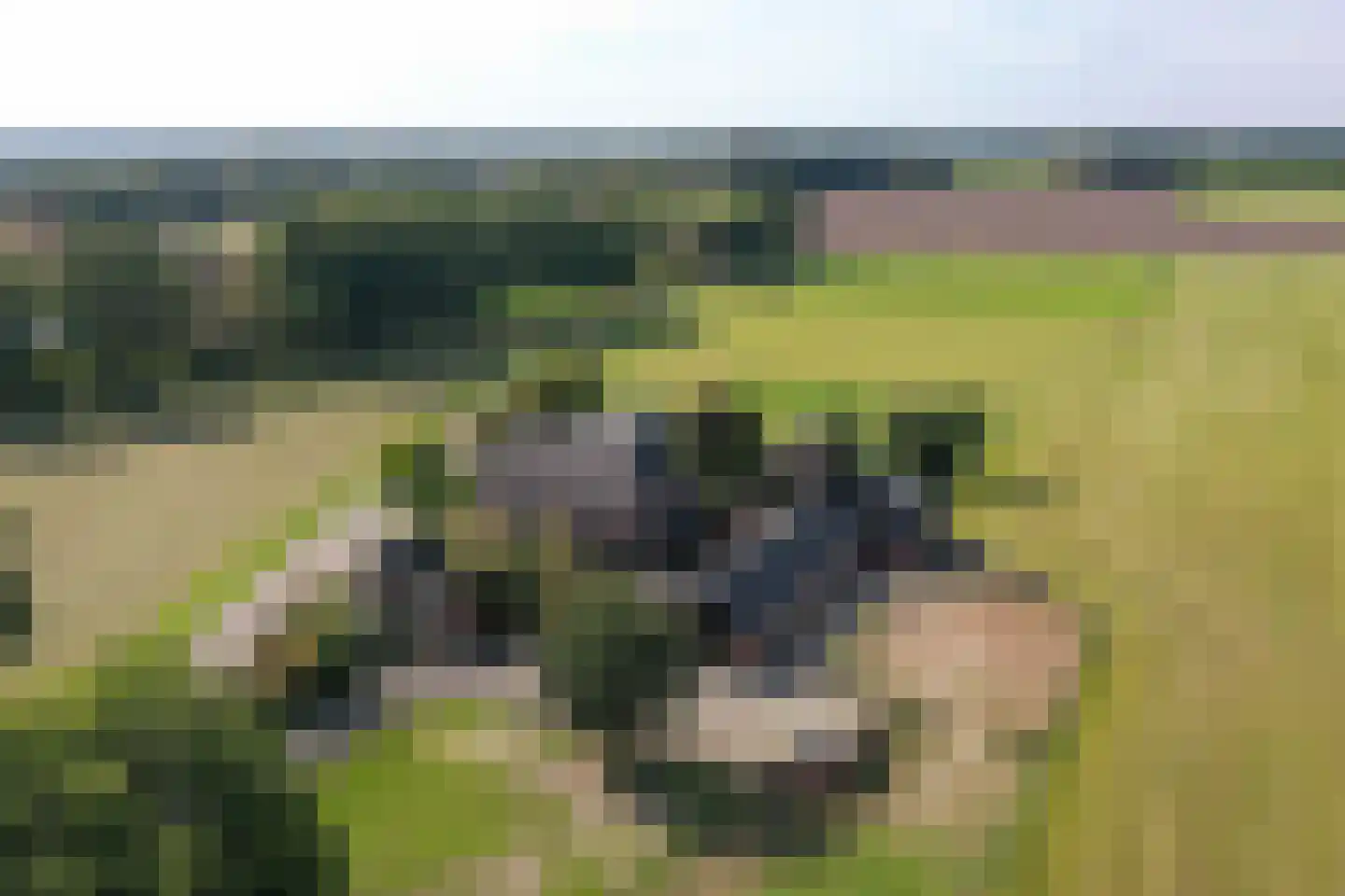 Nutterseweg 14 Nutter thumbnail 5