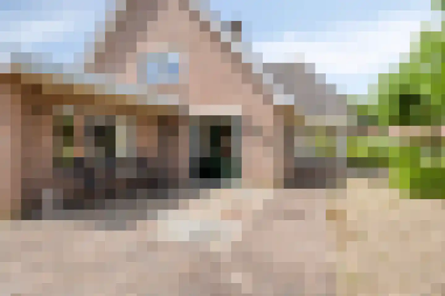 Nuttersvoetpad 4 Ootmarsum thumbnail 35