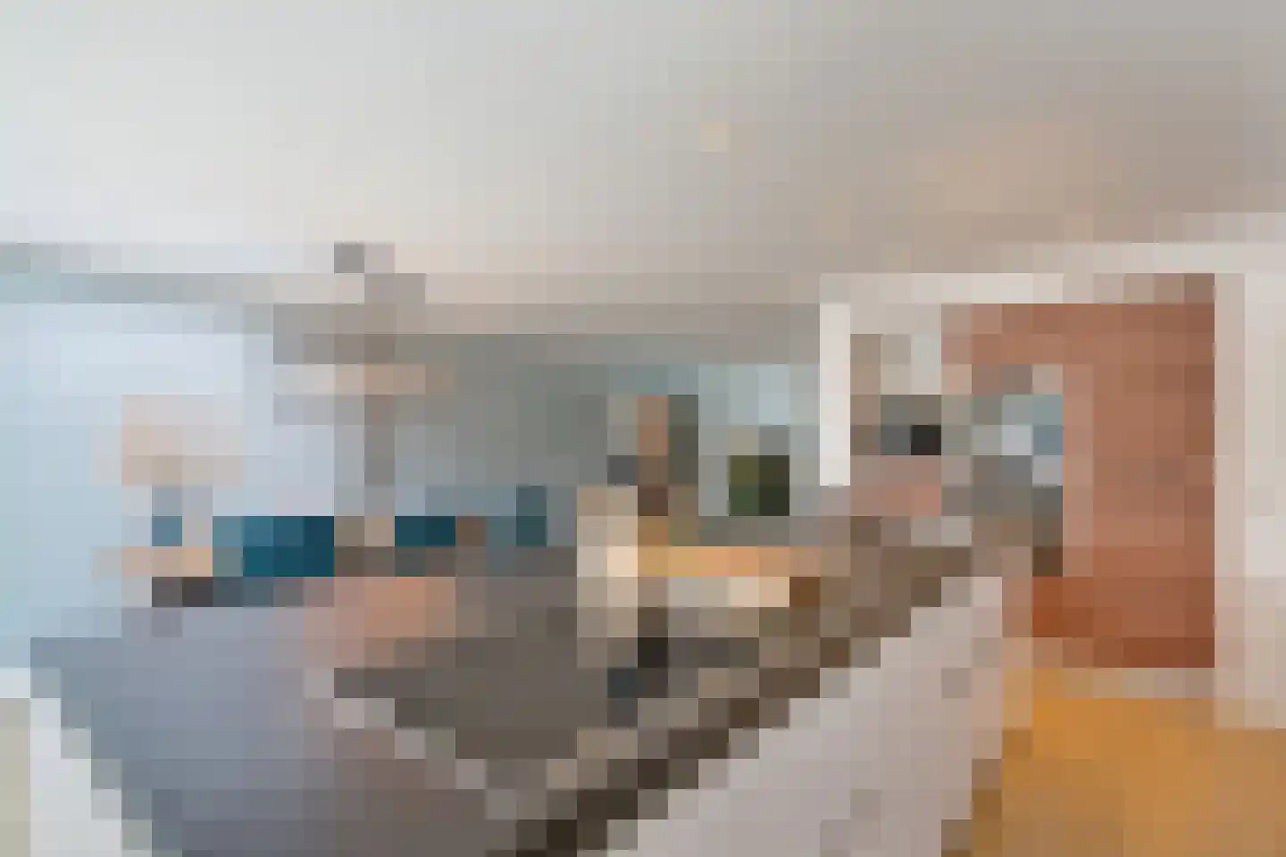 Nuwendoorn 37 Grootebroek thumbnail 16