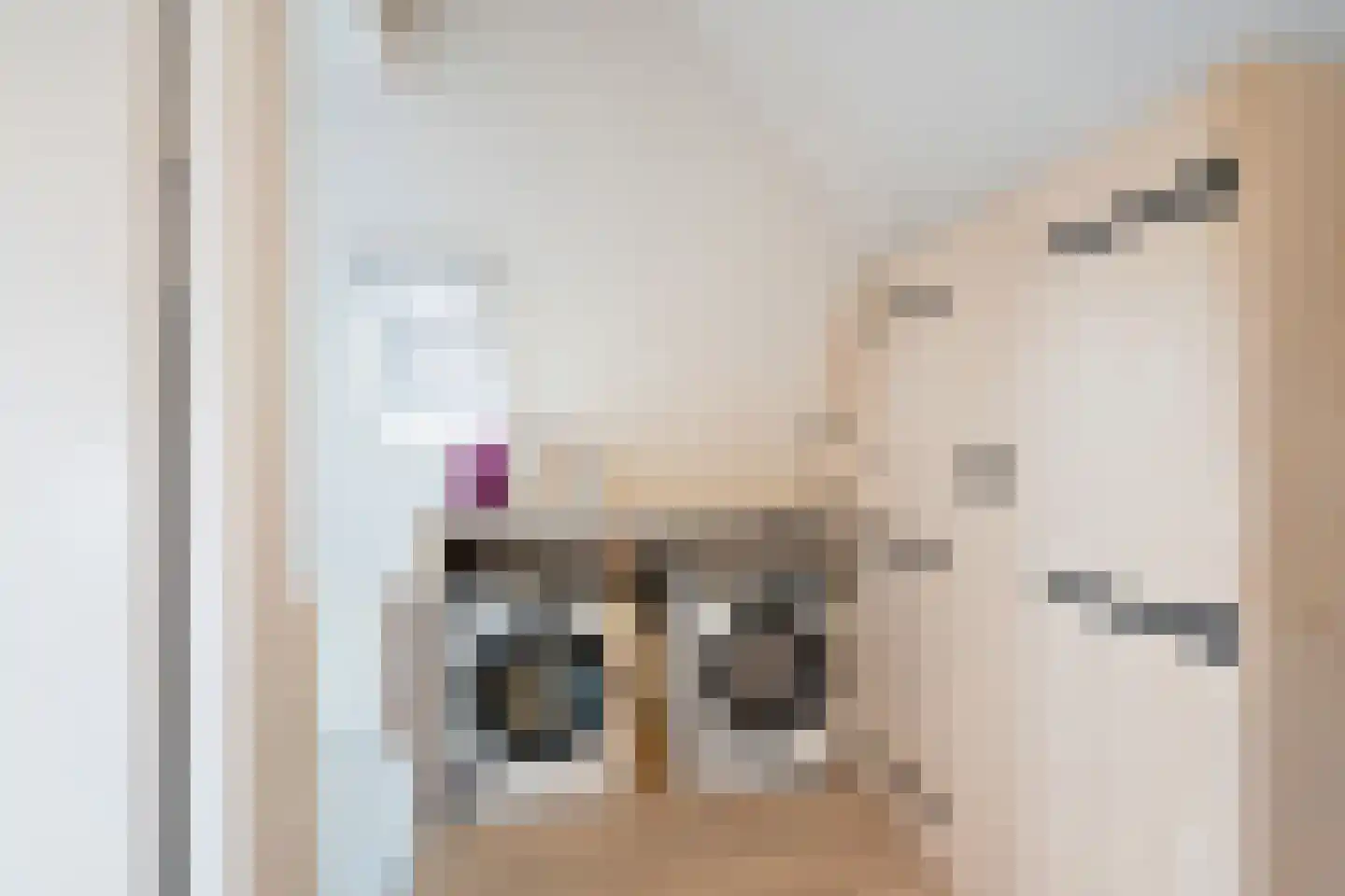 Nuwendoorn 37 Grootebroek thumbnail 35