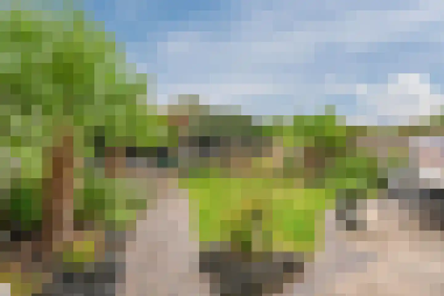 Nuwendoorn 37 Grootebroek thumbnail 43