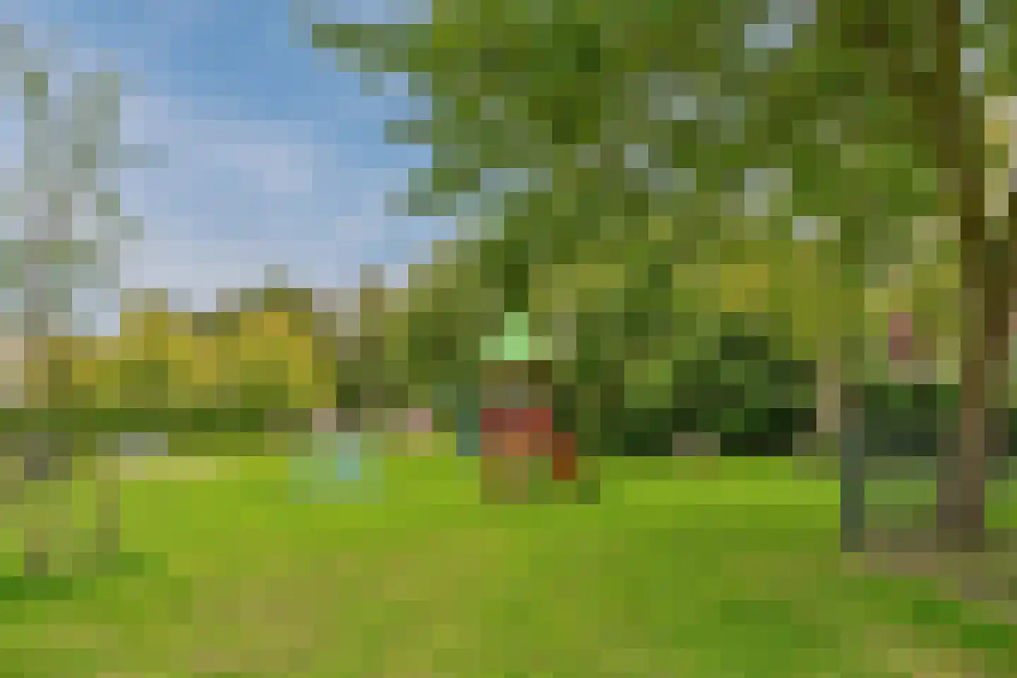 Nuwendoorn 37 Grootebroek thumbnail 50
