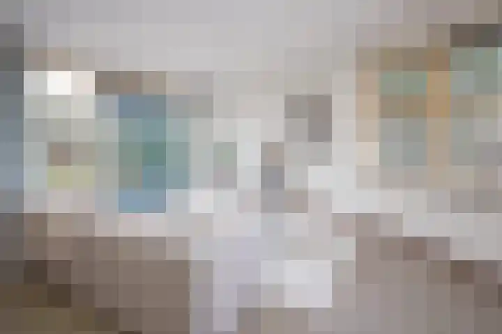 Nuwendoorn 5 Grootebroek thumbnail 10