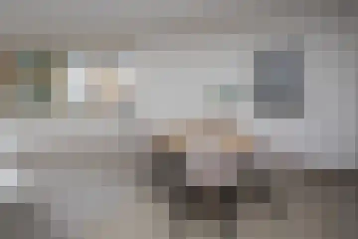 Nuwendoorn 5 Grootebroek thumbnail 13