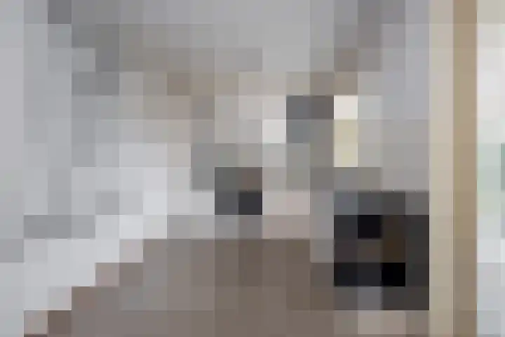 Nuwendoorn 5 Grootebroek thumbnail 14