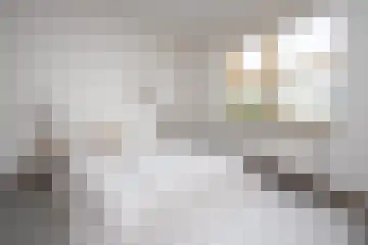 Nuwendoorn 5 Grootebroek thumbnail 22
