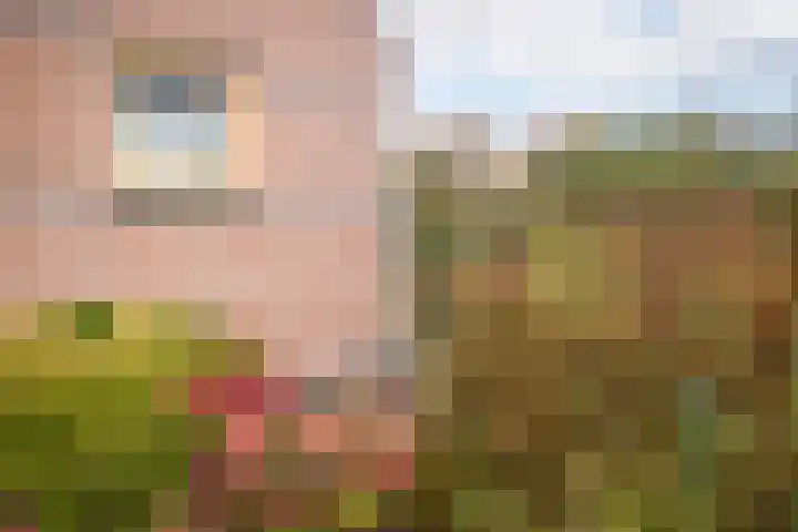 Nuwendoorn 5 Grootebroek thumbnail 30