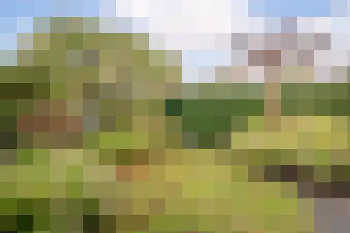 Nuwendoorn 5 Grootebroek thumbnail 33