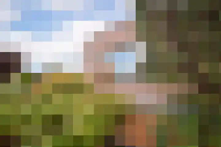 Nuwendoorn 5 Grootebroek thumbnail 36