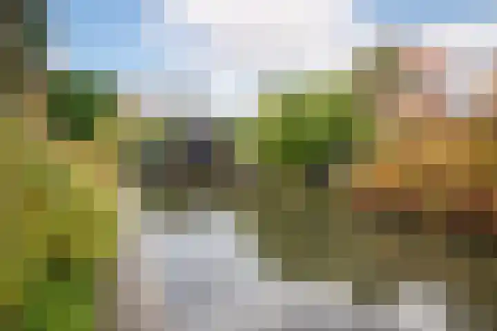 Nuwendoorn 5 Grootebroek thumbnail 37