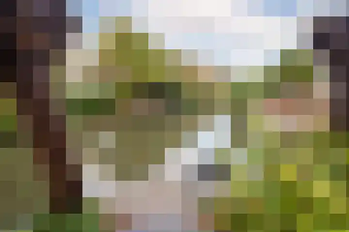 Nuwendoorn 5 Grootebroek thumbnail 38