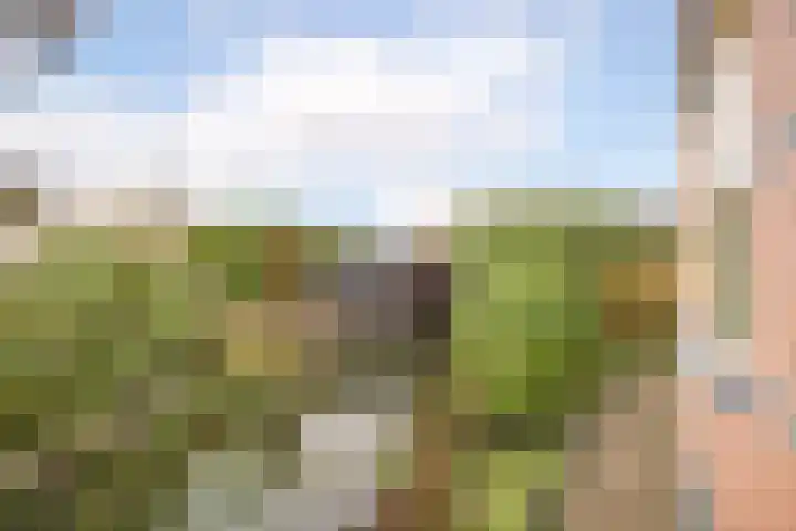 Nuwendoorn 5 Grootebroek thumbnail 39