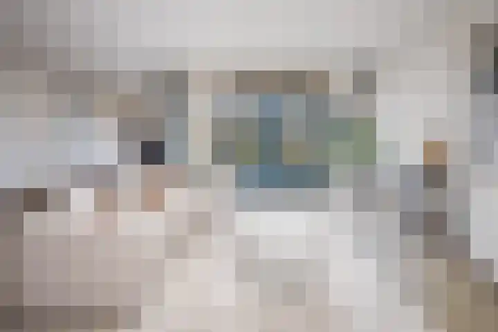 Nuwendoorn 5 Grootebroek thumbnail 4