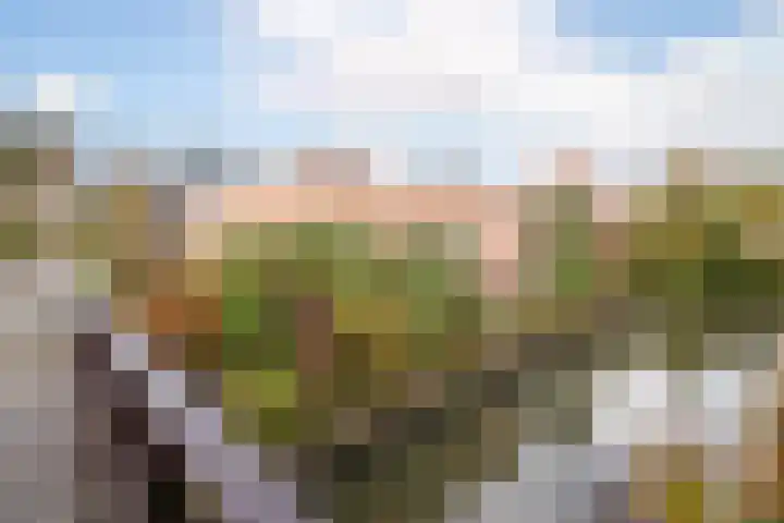 Nuwendoorn 5 Grootebroek thumbnail 40