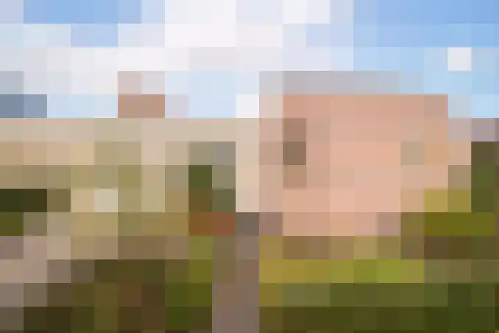 Nuwendoorn 5 Grootebroek thumbnail 5