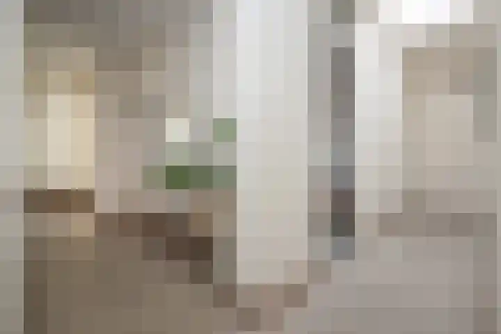 Nuwendoorn 5 Grootebroek thumbnail 7