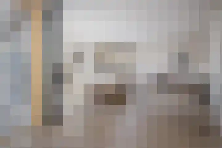 Nuwendoorn 5 Grootebroek thumbnail 9