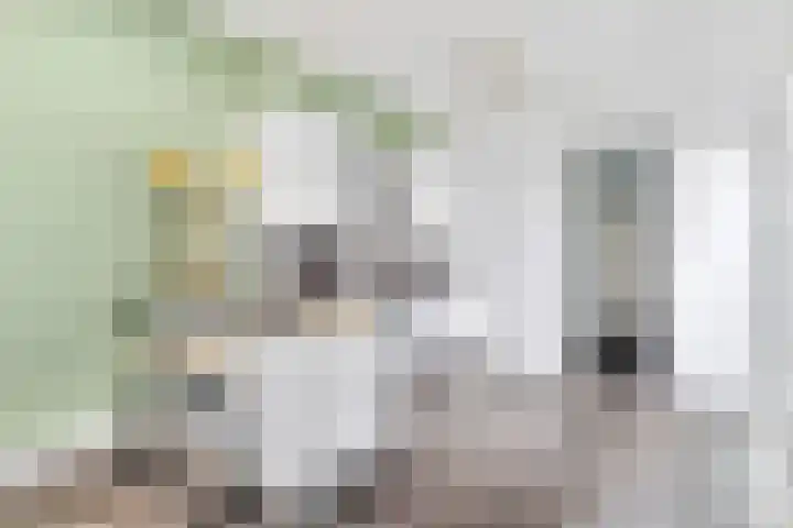 Nuwendoorn 5 Landsmeer thumbnail 12