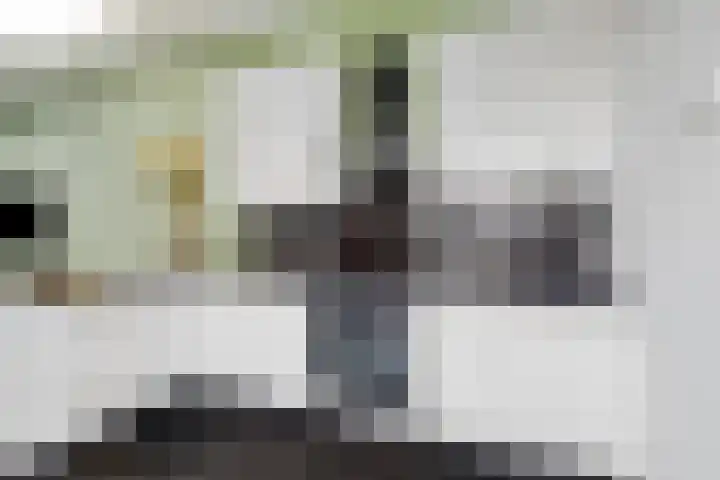 Nuwendoorn 5 Landsmeer thumbnail 14