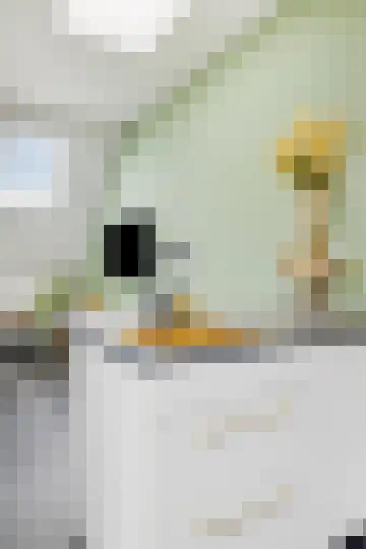 Nuwendoorn 5 Landsmeer thumbnail 15