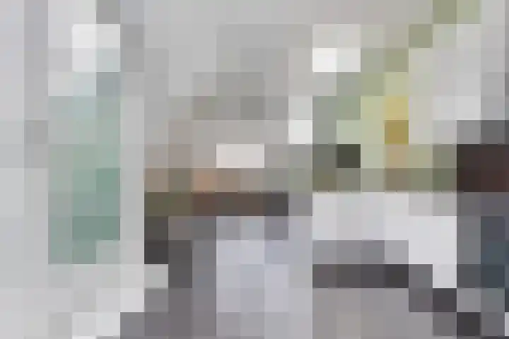 Nuwendoorn 5 Landsmeer thumbnail 16