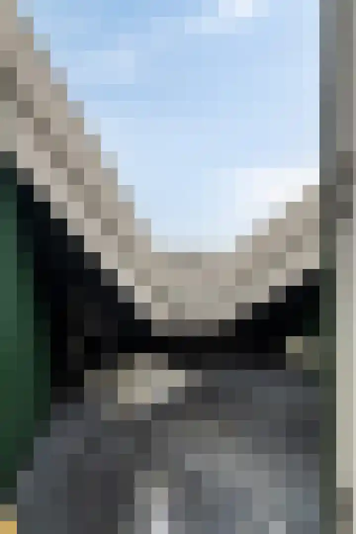 Nuwendoorn 5 Landsmeer thumbnail 17