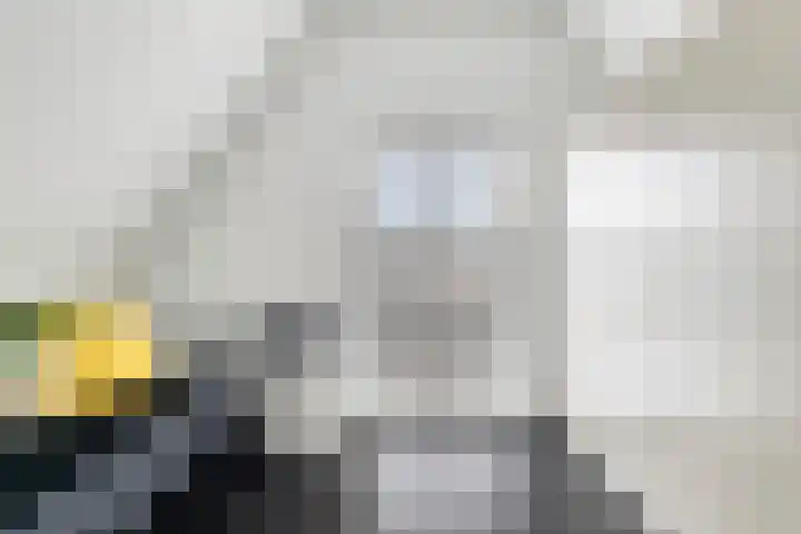Nuwendoorn 5 Landsmeer thumbnail 21