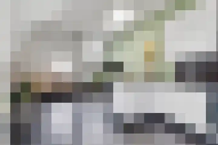 Nuwendoorn 5 Landsmeer thumbnail 27