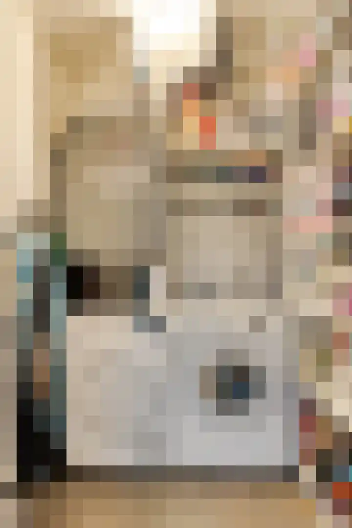 Nuwendoorn 5 Landsmeer thumbnail 31