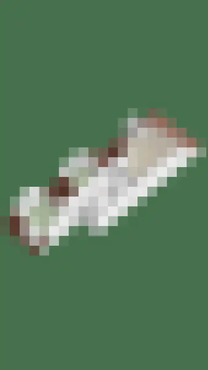 Nuwendoorn 5 Landsmeer thumbnail 37