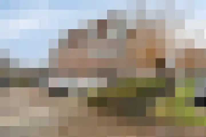 Nuwendoorn 5 Landsmeer thumbnail 5