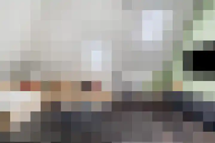 Nuwendoorn 5 Landsmeer thumbnail 9